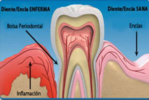 dentista coslada